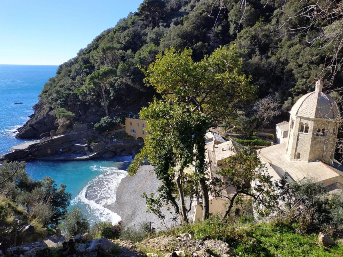 Casaviva - Magical Bilo In Camogli Διαμέρισμα Εξωτερικό φωτογραφία