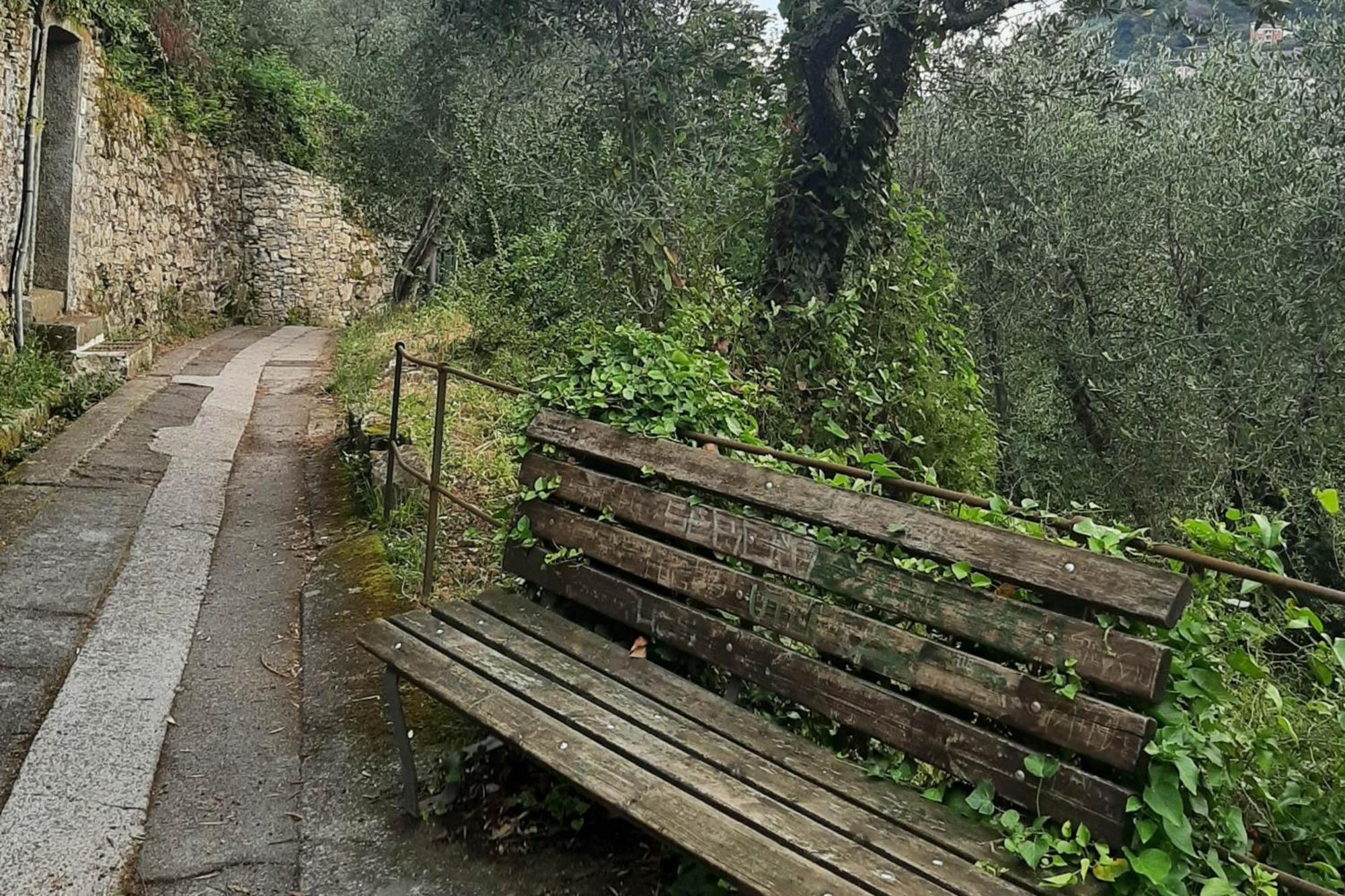 Casaviva - Magical Bilo In Camogli Διαμέρισμα Εξωτερικό φωτογραφία